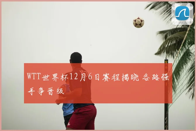 WTT世界杯12月6日赛程揭晓 各路强手争晋级